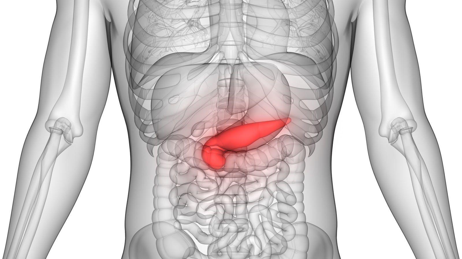 Pancreatitis treatment in Thane and Mulund